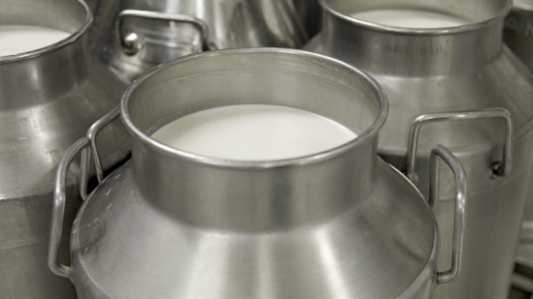 8967186f6211541fc9144bad8f3b2fe0