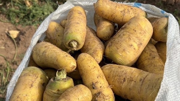 958a6ce2e3f8eb1ca4f4b035a77896da