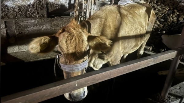 a2a226a21e2d2dd7096fe85f1071784e