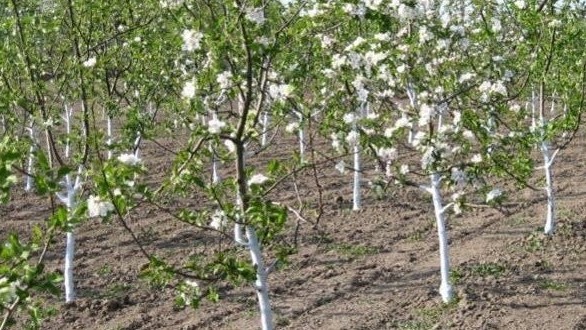 aefe1309debf09ff2631b53ed4ccfaad