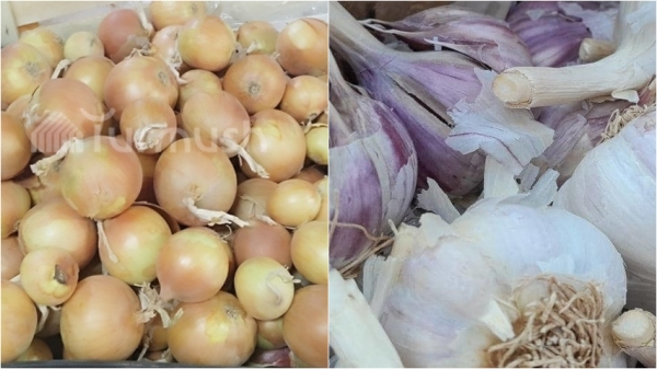 c5b89ad897fe1e504c759f310104b174