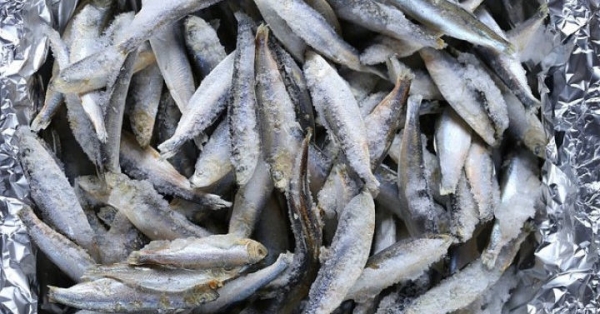 1263fa3e23151ede93a883548a84d863