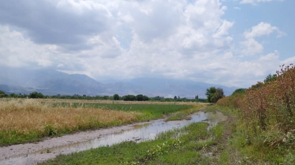 1753a57f8348fde226feb6702ffa9ab8