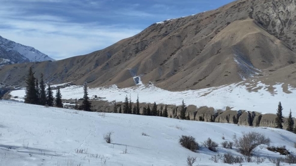 2b521ff088598bd888c73008b7a8bf8b