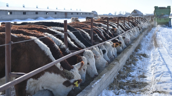 3f3a1b2bcbd609c60823f3275a4e87e9