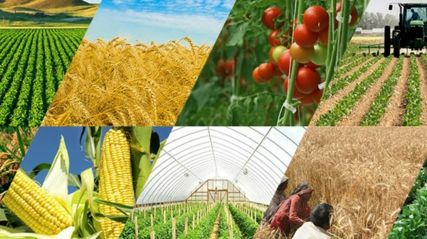 3f54a5704aeb5d9d64816b0080dee7fa