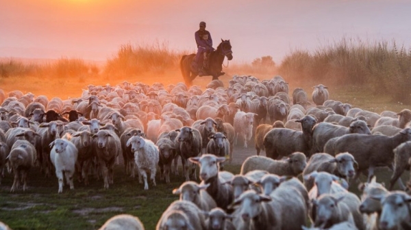 80ff6b773e2068be9d6d195e55a946fe