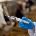 Кыргызстан: $31,79 млн для «Единого здоровья» – кредит под 0% на 50 лет