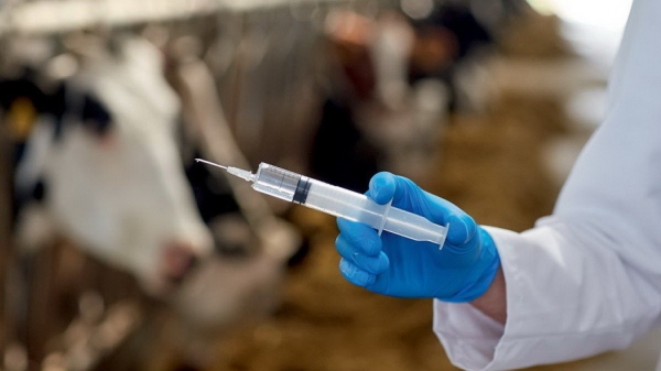 9d3a1b5a23e70459a49403ffb6947936