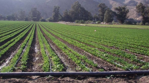 a26737c65107e933083ba1abe54b11b9