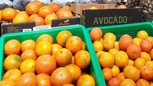 b8a69cbdb96e4e07056ef1eafc13a72b