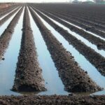 Аграрный кризис в Чуе: Минсельхоз обещает водохранилище в Кара-Балте