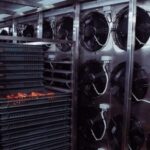 Кыргызстан: как заморозка нового поколения меняет экономику агросектора