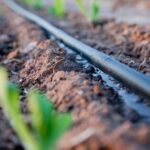 Чуйская область: 10 га земель под завод для модернизации агросектора