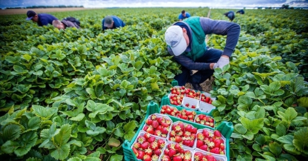 f4f35328f84dd5ae34f4bb3d0e49f529