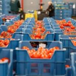 Кыргызстан: сельхозперепись 2026 года нарисует реальную картину для инвесторов