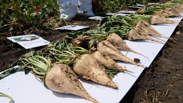 1d6d045582427b05612c4aef5f35b8a9