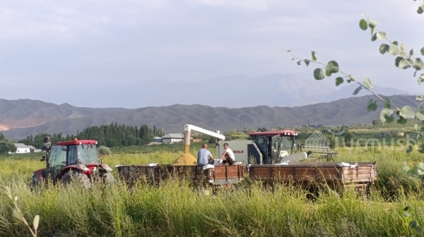 2f917b5bcd3dc01dbce5fc67cb88a8df