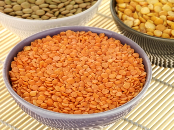 3b0f3446424d39c9556d4fde52134a2d