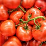 Экспортный барьер: как маркировка томатов влияет на торговлю Кыргызстана с ЕАЭС