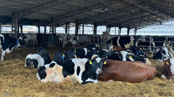 4ca2081a28879b195218e1e72244be6e