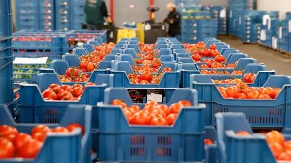 6b3c45e4fd2bfbebaffd89485bafbc1f