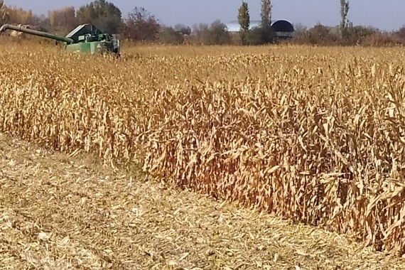 73ecfb2b744d73e2ccffa99be2ed438d