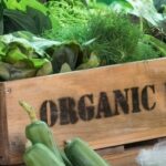 Кыргызстан: новые правила для органики – катализатор инвестиций и рынка