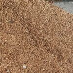 Кыргызстан среди лидеров: как алтайское зерно укрепляет экономику страны