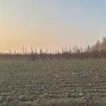 Кыргызстан: озимые культуры – залог продовольственной стабильности и прибыли