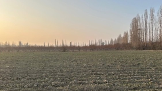 b1a238926480181cda3ca0d8ce3e38b0