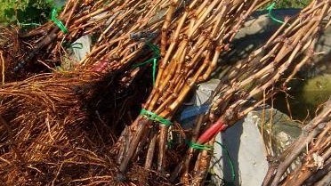 b6723cf1d272e8a9a2507c5ef9d146df