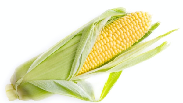 d38e325355b735ee103d2b1a52d3d4e4