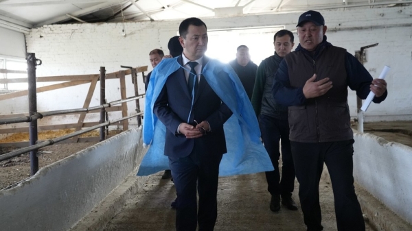 e2123b9e78e13ab313ee1db054492d9a