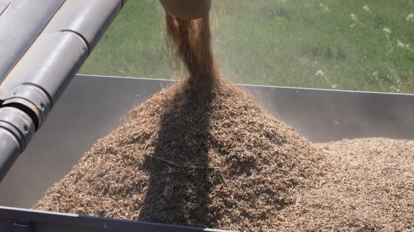 fe5c073e6b51657e6131c4204b2d1624