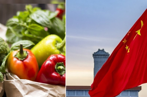 6c9f18cab9e299e22b4a45f9adc8a400