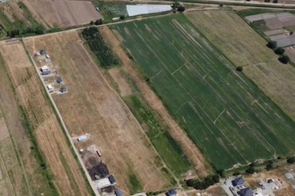 6f2fe90c7c5635a051b8988fed7a9968