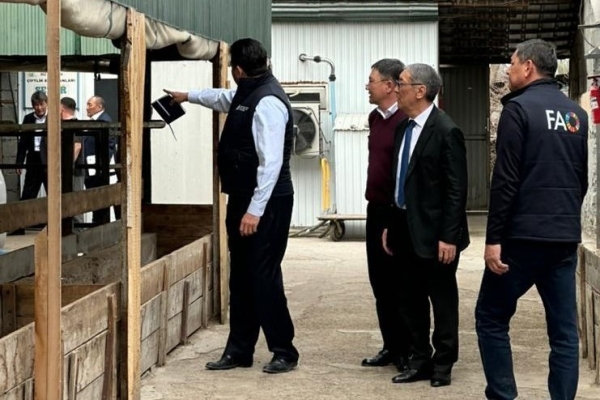 cd3ca0a5d34c7032880bc75181d9daba