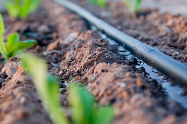 db55c3df4ae23dfe69958e0a5548b65e