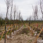 Кыргызстан укрепляет агросектор: льготное финансирование как драйвер роста