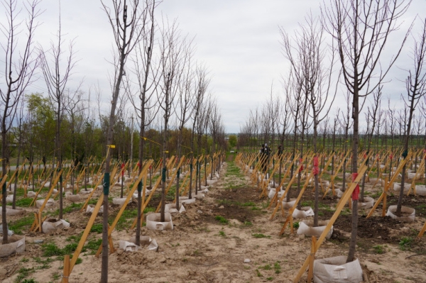 e8de2ca1da846cb832285dfbe3756715