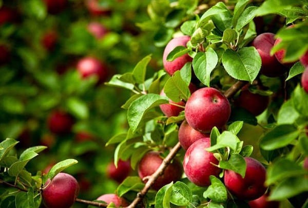 f49bb8370057a30e89c284056497c994