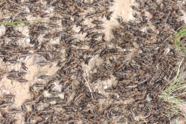 fb85ed08ee934f9c9326f9f3a418b8e3