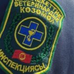 Кыргызстан строит прозрачность: цифровой реестр ветеринарного надзора открывает новые возможности