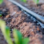 Кыргызстан стимулирует агротех: объем льготных кредитов под 2% может вырасти