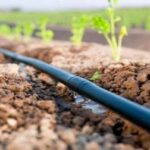 Аграрный сектор Кыргызстана: льготное финансирование водосберегающих систем