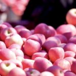 Фруктовый транзит: как импорт яблок из Китая в Кыргызстан вырос в четыре раза